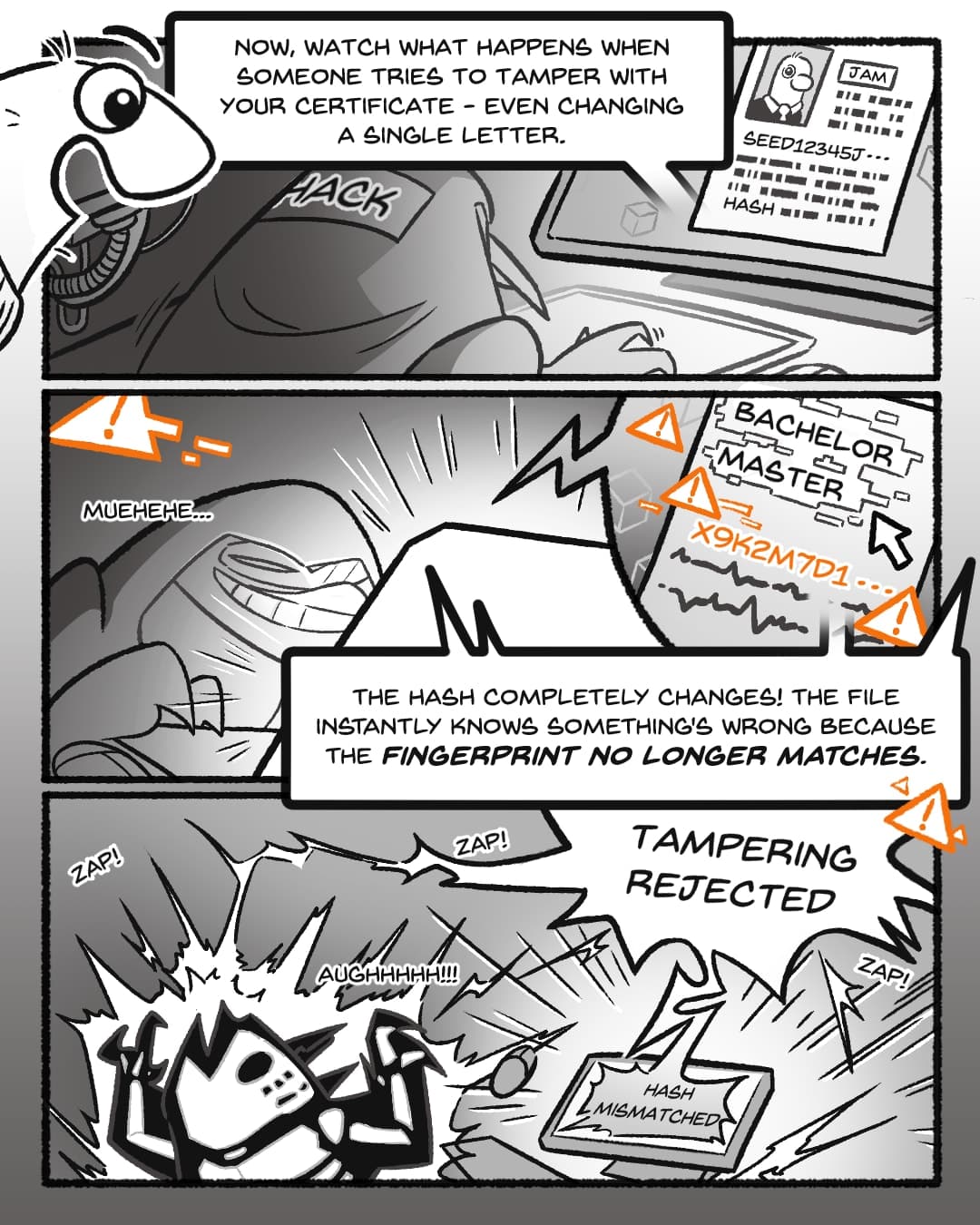 Panel 5